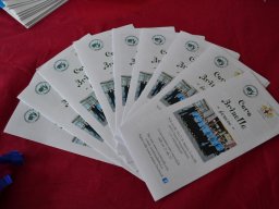 Concerti2014_Verona