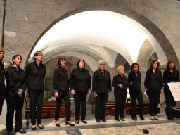 Concerti2015_Incanto3